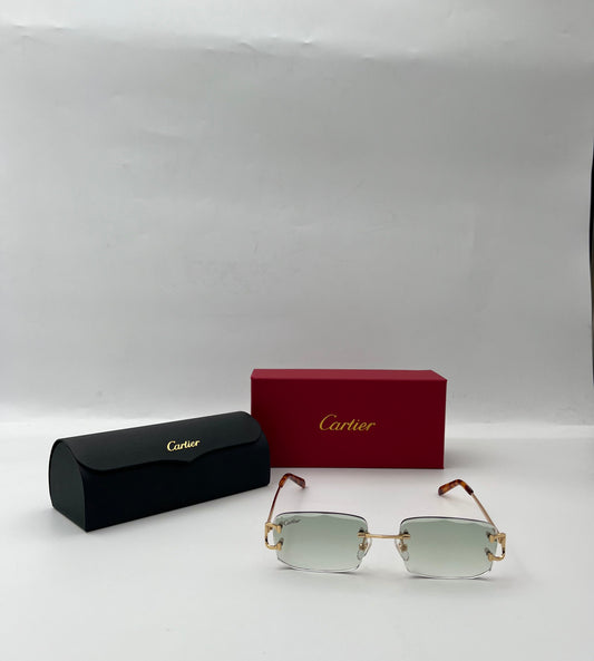 CARTIE_R SUNGLASSES