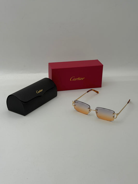 CARTIE_R SUNGLASSES